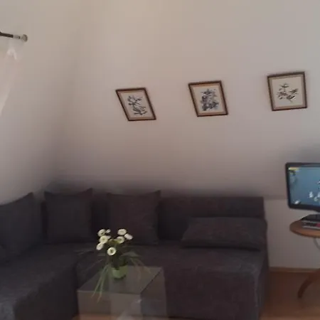 Daire Ferienwohnung Buchenpark Prerow